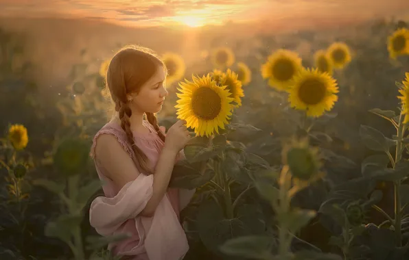 Picture summer, sunflowers, girl