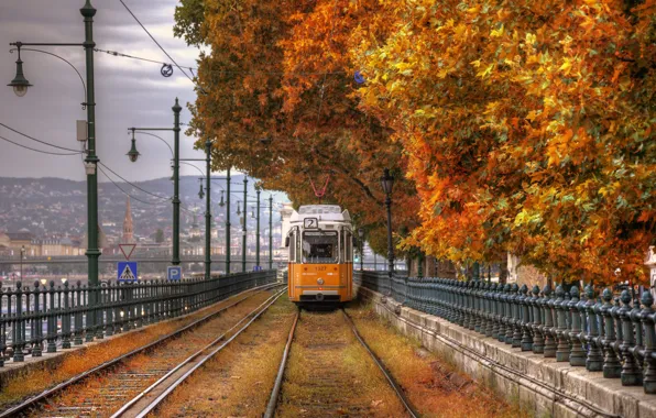 Picture autumn, Park, rails, tram, Marco Squassina