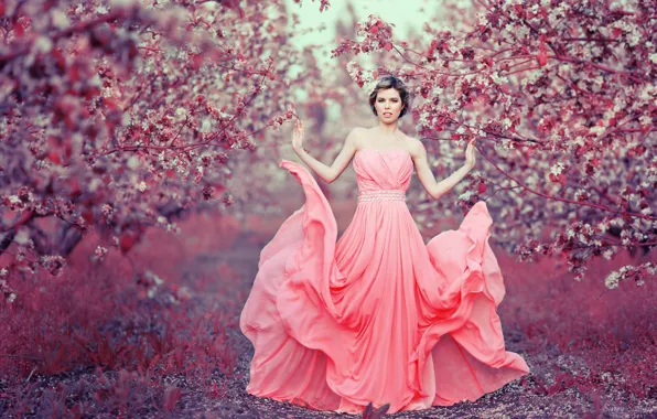 Picture look, girl, nature, pose, photo, spring, garden, dress, flowering, Sergey Shatskov