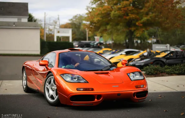 Picture Orange, Car, Auto, V12, Supercar, McLaren F1