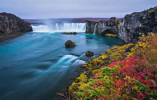 Picture flowers, waterfall, spring, Iceland, Godafoss