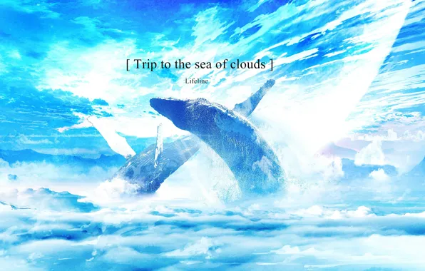 Picture clouds, fantasy, whales, phrase