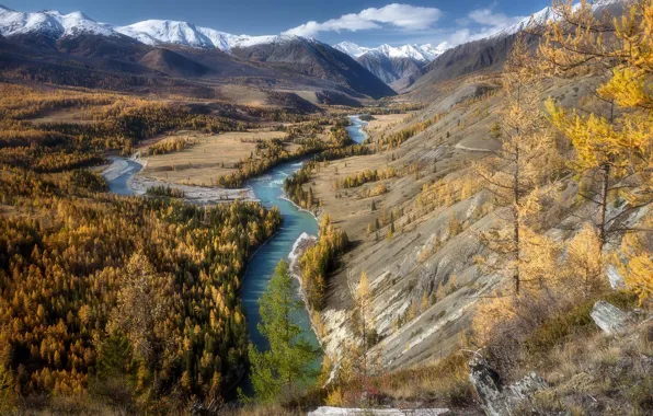 Picture landscape, mountains, nature, river, hills, forest, Altay, Paul Kalinenko, Argut