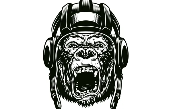 Picture Look, White background, Helmet, Fangs, Face, Art, Black and white, Grin, Gorilla, Vector graphics, Tanker, …