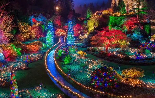 Picture lights, Canada, Christmas, British Columbia, Vancouver island, Butchart Gardens, Butchart Gardens, группа ботанических садов, Брентвуд-Бэй