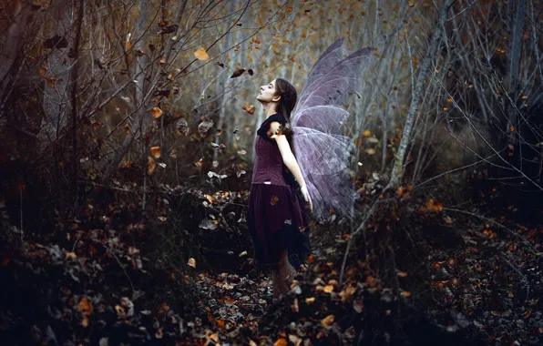 Picture forest, girl, wings, Mar Kalina