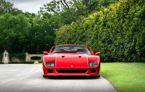 Picture F40, Trees, Front view