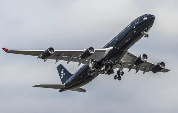 Picture black, the plane, flies, a passenger plane, Airbus a340-313X