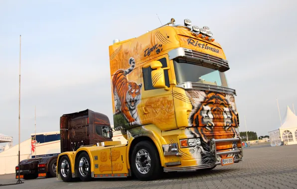 Picture Tiger, Yellow, Tuning, Truck, Scania, Scania R