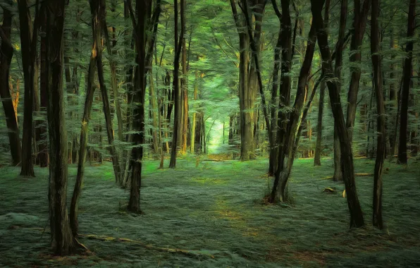 Picture forest, trees, digital painting