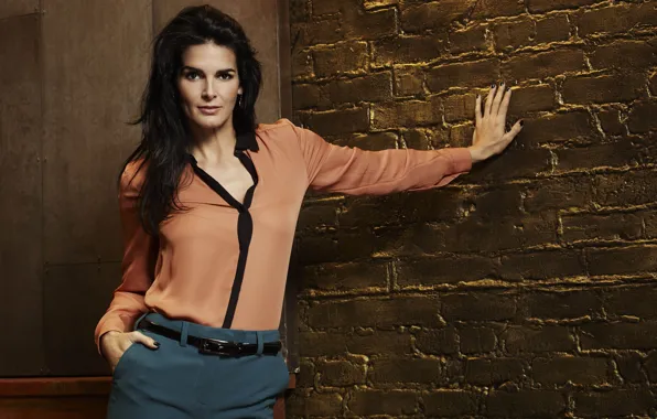 Picture pose, model, figure, actress, brunette, girl, background, model, hair, brunette, actress, Angie Harmon, Angie Harmon, …