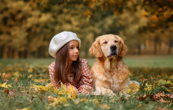 Picture autumn, leaves, nature, Park, dog, girl, child, dog, Retriever, Victoria Dubrovskaya