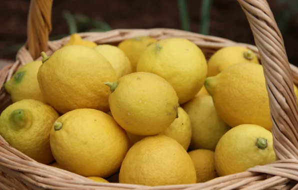 Picture close-up, basket, citrus, a lot, lemons