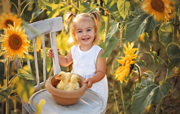 Picture sunflowers, mood, chair, girl, hat, ducklings, Chicks, Алёна Волкова