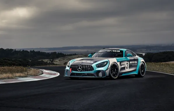 Picture Mercedes-Benz, AMG, GT4, 2019