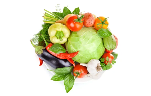Picture greens, leaves, bow, dill, plate, eggplant, white background, pepper, vegetables, tomatoes, cabbage, parsley, garlic, potatoes, …