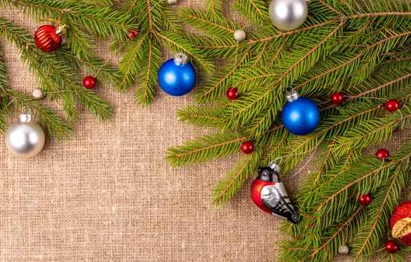 Picture balls, branches, bird, Christmas, New year, needles, bullfinch, blue, burlap, physalis, Christmas decorations, Christmas decorations, …