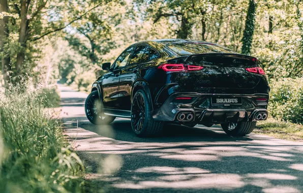 Picture Mercedes-Benz, Coupe, Forest, Rear, GLE, Brabus 800