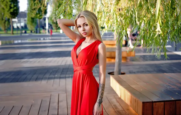 Picture girl, dress, beautiful, Vladimir Dudorkin