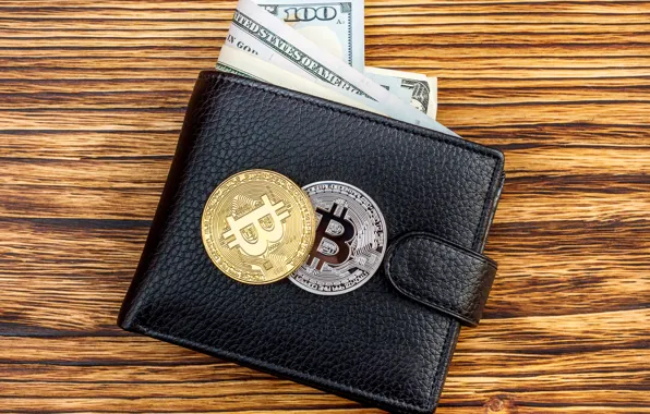 Picture dollar, dollar, purse, bitcoin, wallet, bitcoin, btc