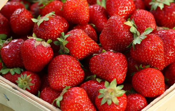 Picture berries, strawberry, basket, a lot