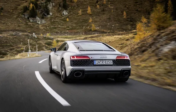 Picture Audi, speed, supercar, Audi R8, rear view, Coupe, V10, 2020, RWD