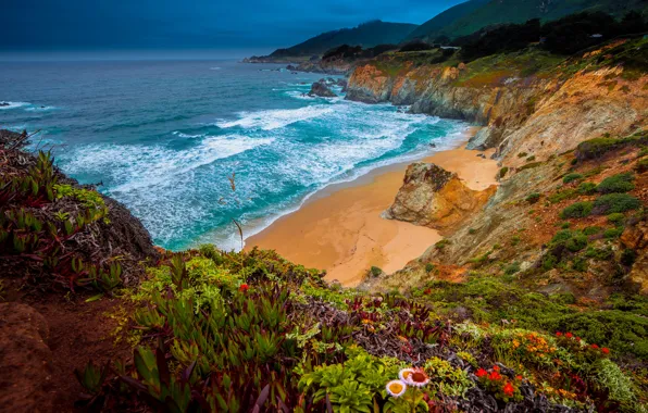 Picture beach, flowers, the ocean, rocks, coast, Pacific Ocean, California, The Pacific ocean, Big Sur, Julia …