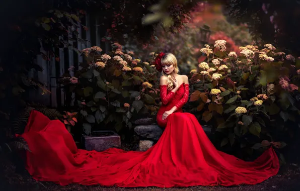 Picture BLONDE, DRESS, FLOWERS, RED, The BUSHES, ПРИРОА