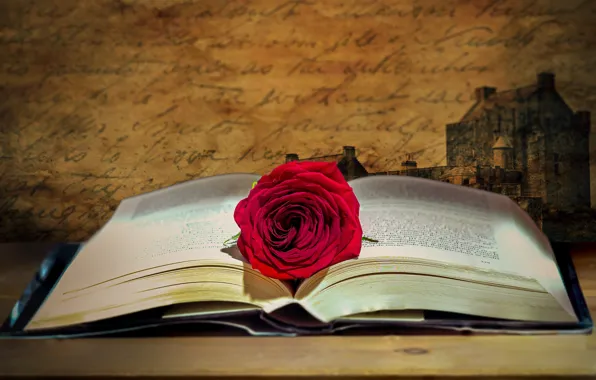Picture flower, labels, background, castle, rose, book, still life, red, page, handwriting, disclosed