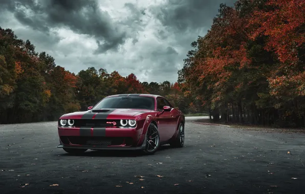 Picture autumn, Dodge, Challenger, Hellcat, SRT, Widebody, 2019, by Jimmy Zhang