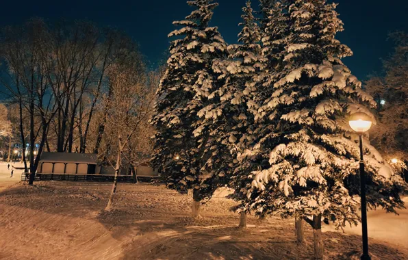 Picture snow, night, Winter