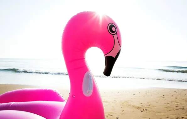 Picture sea, beach, summer, rays, light, Flamingo, nadawca