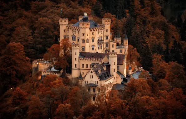 Picture autumn, landscape, nature, castle, Germany, Bayern, architecture, forest, Hohenschwangau