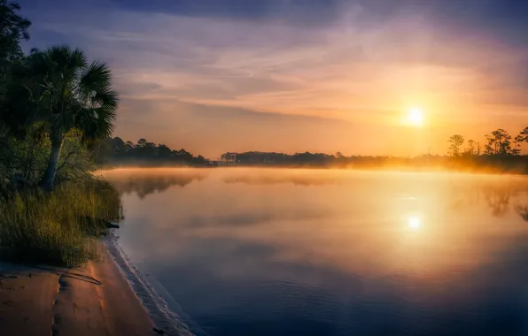 Picture the sun, fog, shore, pond