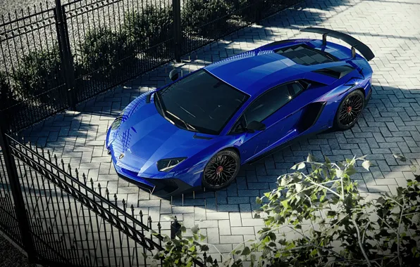 Picture rendering, Lamborghini, supercar, Aventador, Superveloce, LP-750, Aventador SV