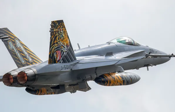 Picture Fighter, The fast and the furious, The rise, The Swiss air force, F/A-18 Hornet, PTB