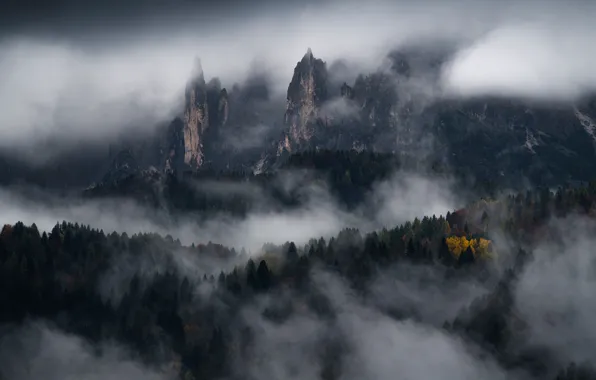 Picture forest, trees, mountains, nature, fog, rocks, Dolomites, The Dolomites