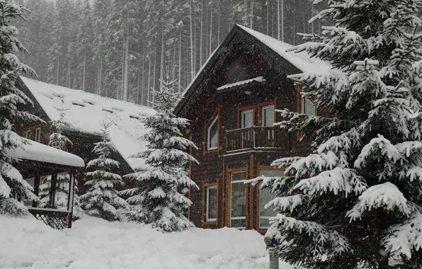 Picture Nature, Winter, Snow, House, House, Nature, Winter, Snow, Winter Forest, Winter Forest