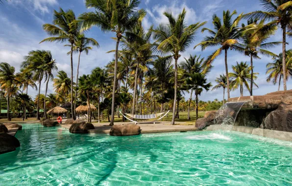 Picture palm trees, pool, resort, Caribbean, Saint Vincent & Grenadines, Palm Island Resort & Spa, Гренадины