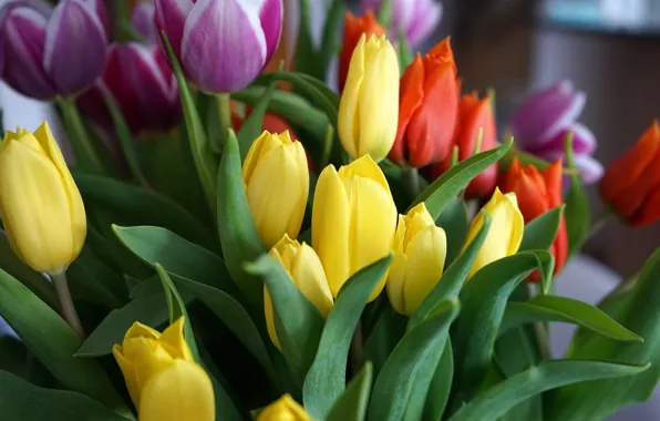 Picture leaves, flowers, bouquet, spring, yellow, tulips, red, buds, lilac, bokeh