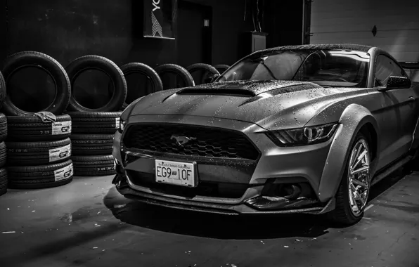 Picture Ford, Ford Mustang, Widebody, Ford Mustang Widebody