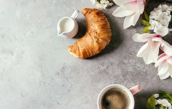 Picture flowers, coffee, drink, cakes, croissant, Magnolia