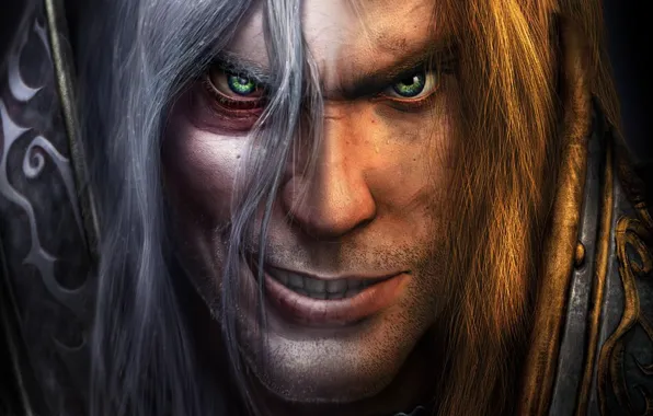 Picture Lich King, Warcraft, Blizzard, Arthas, Arthas Menethil, Arthas Menethil, Warcraft III: Reign of Chaos, Warcraft …