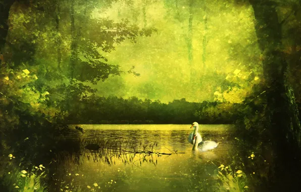 Picture greens, forest, summer, trees, landscape, nature, lake, pond, Park, rendering, shore, swans, photoart