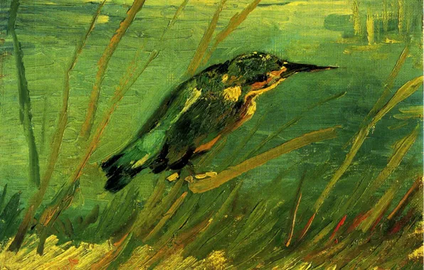 Picture beak, forty, Vincent van Gogh, The Kingfisher