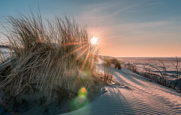 Picture light, shore, dunes