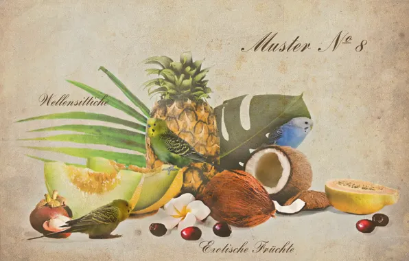 Picture fruit, parrots, exotic, exotic fruits, Botanical album