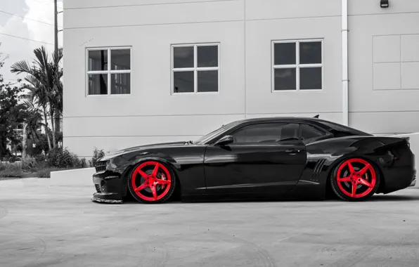 Picture Muscle, Camaro, Coupe, Tuning, Vehicle, Red wheels
