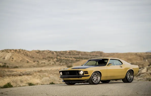 Picture Mustang, Boss 302, 1970, Desert