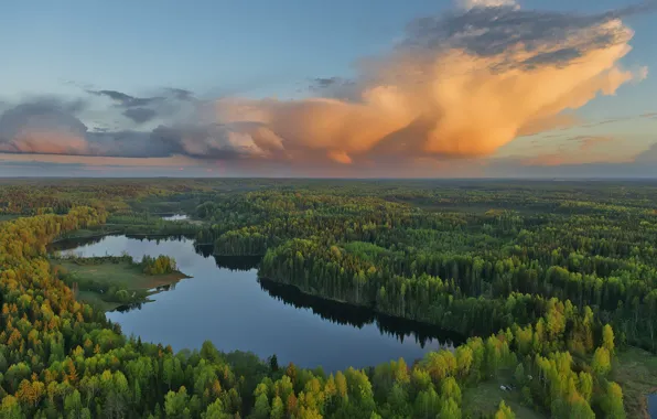 Picture the sky, clouds, landscape, sunset, nature, forest, Vladimir Ryabkov, Gostilitskoe lake